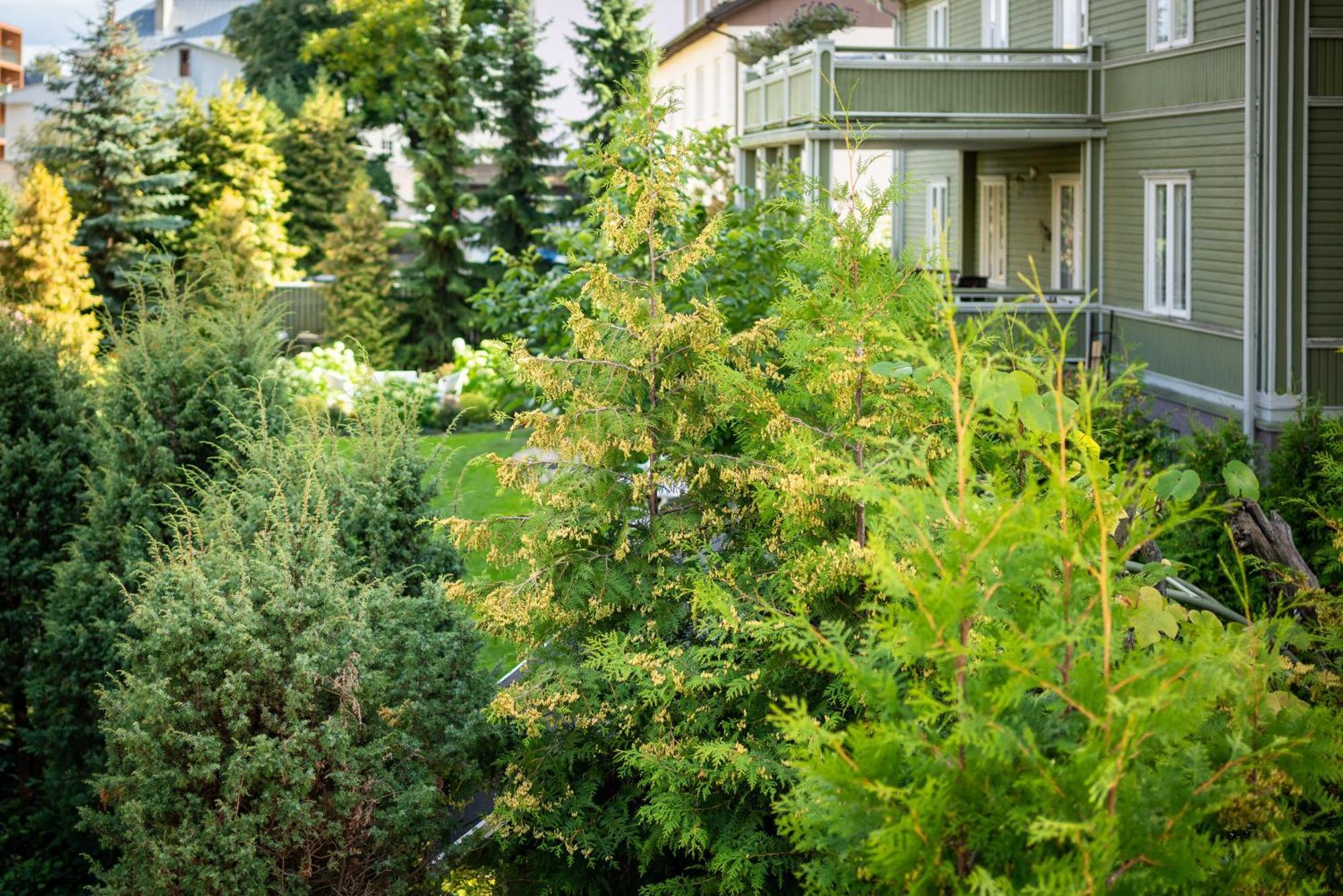 Garden Camping Tallin Exterior foto
