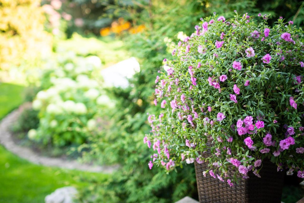Garden Camping Tallin Exterior foto